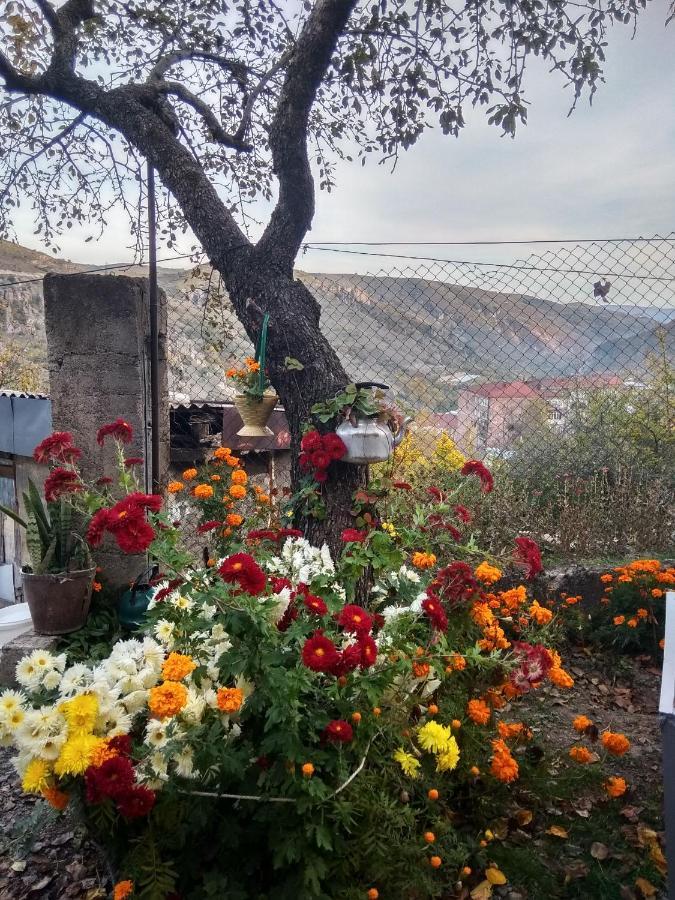 Nnn Guest House Goris Exterior foto